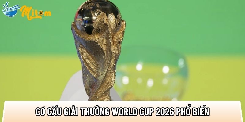 cac co cau giai thuong world cup 2026 pho bien cho cac doi tham gia