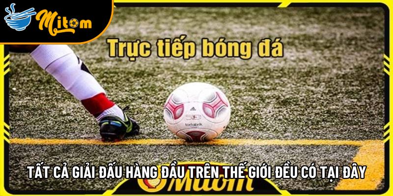 mitomtv co ban quyen cua cac giai dau hang dau